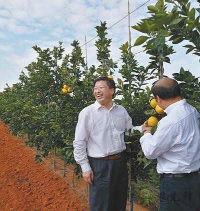 国家现代农业（柑橘）首席科学家邓秀新数十年助力农民增收