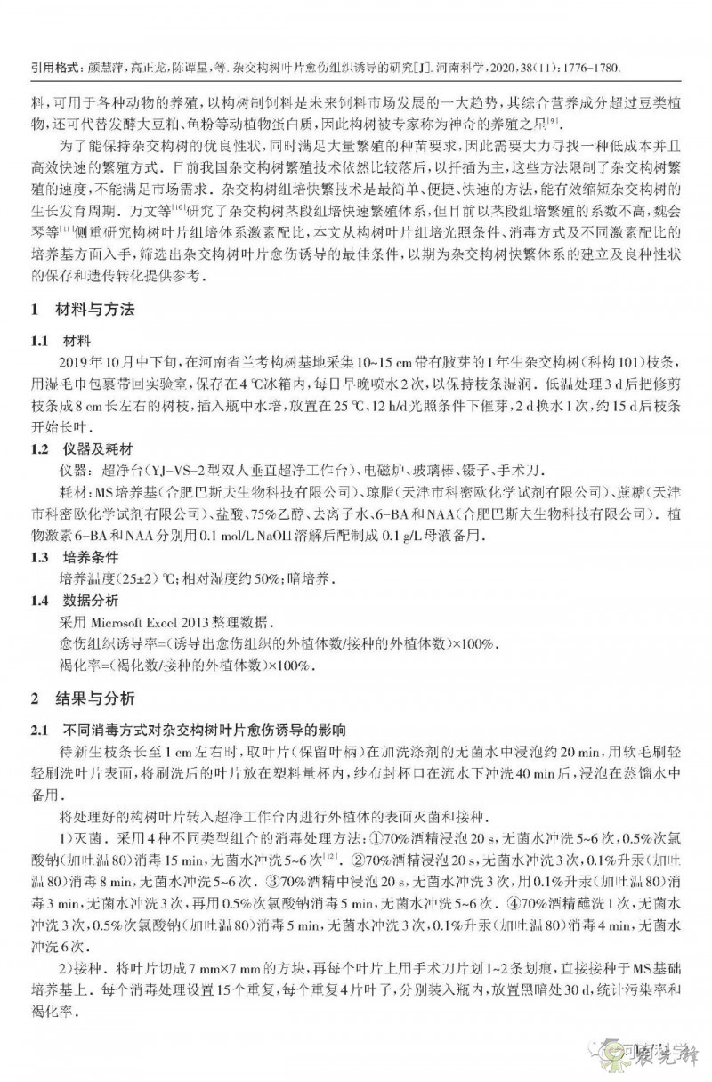 杂交构树叶片愈伤组织诱导的研究