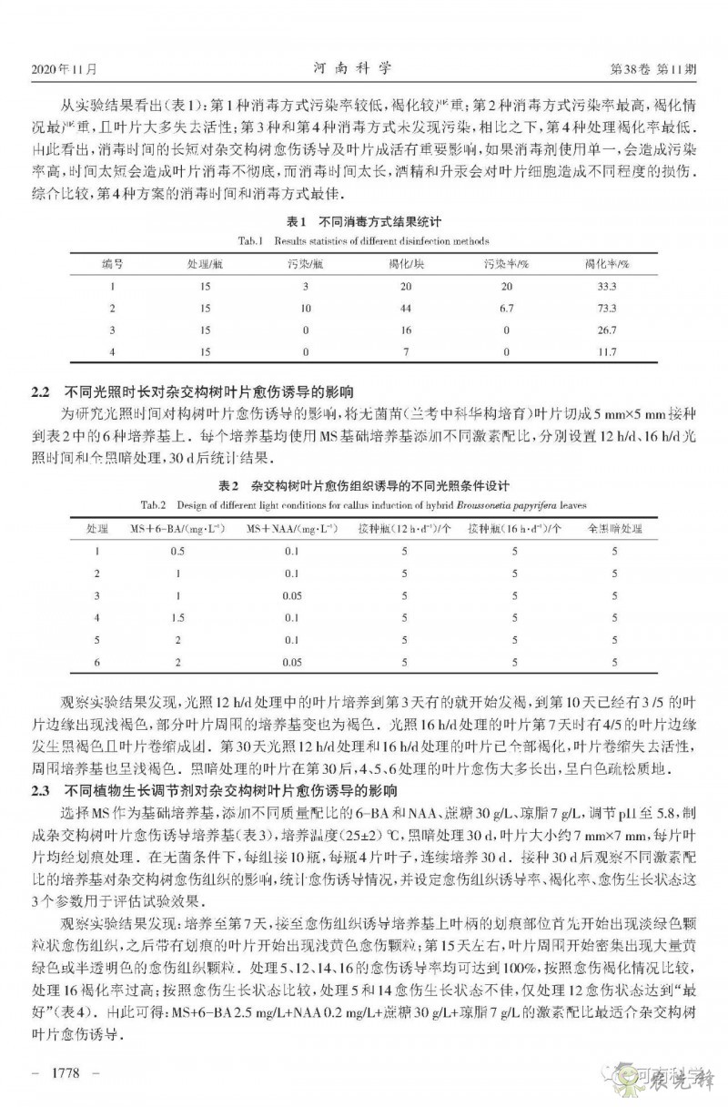 杂交构树叶片愈伤组织诱导的研究