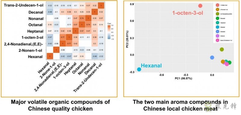 研究揭示我国地方优质鸡鸡肉风味物质成分