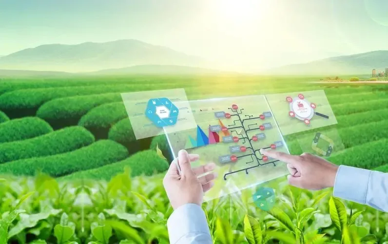 人民论坛：农业品牌如何实现数字化转型？