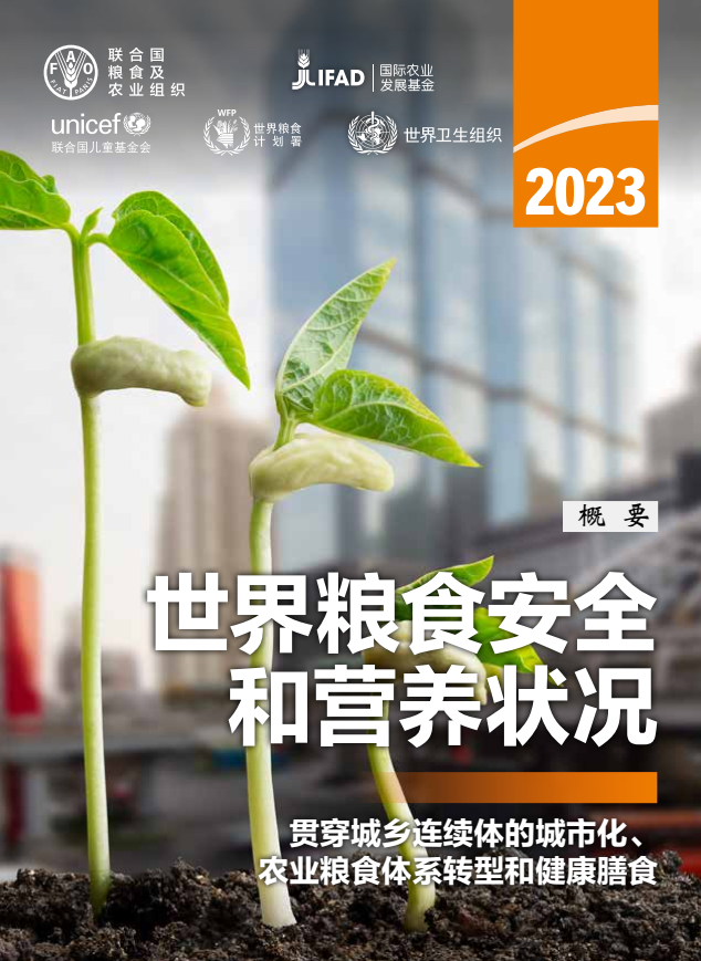 联合国发布《2023年世界粮食安全和营养状况》报告：2019年以来，全球新增1.22亿饥饿人口