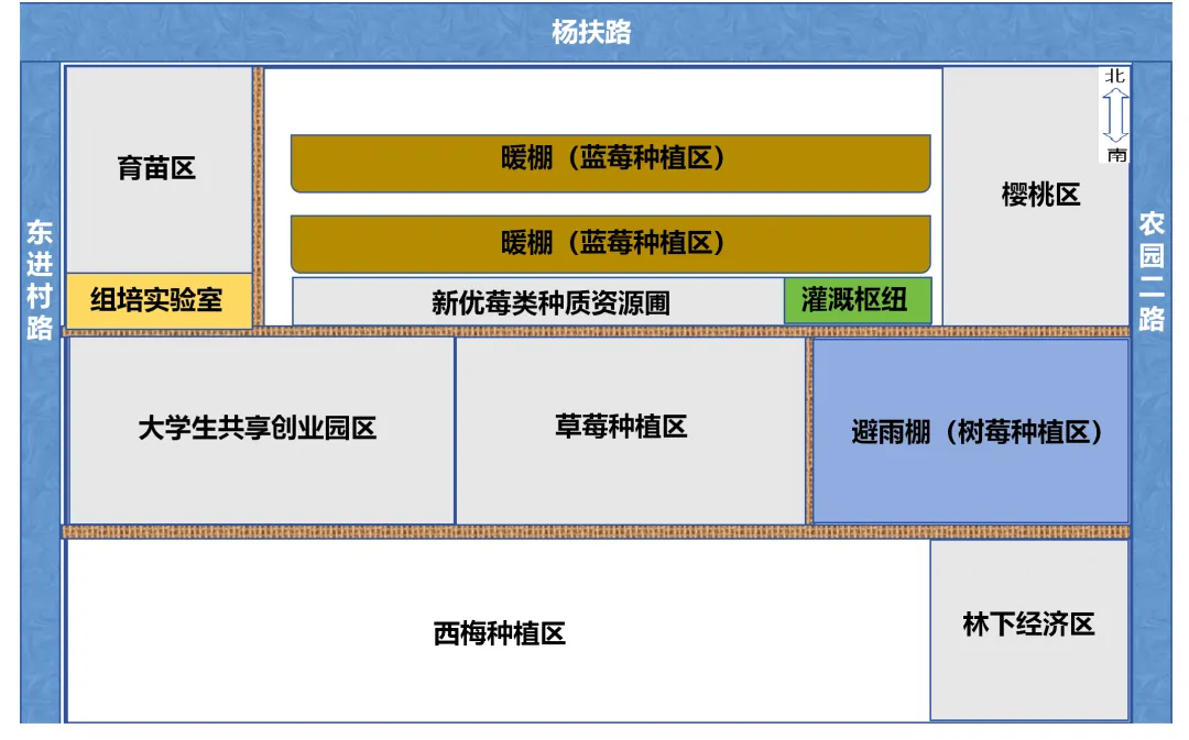 乡村行·看振兴 | 挂职博士实干谋振兴